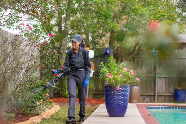 Florida Pest Control in Kissimmee, FL - Reliable Pest Removal Services
