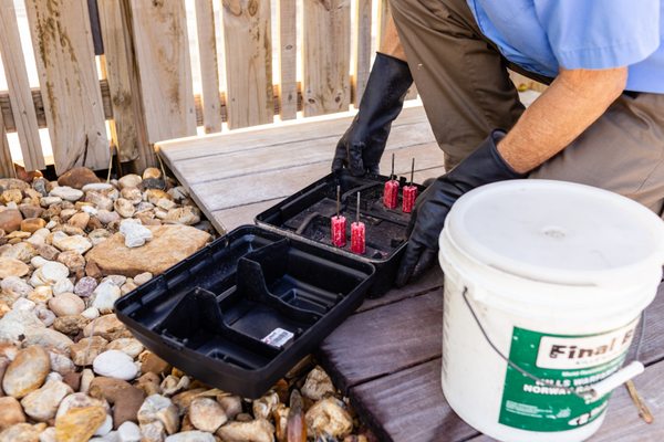 Best Pest Control Services in Vero Beach, FL